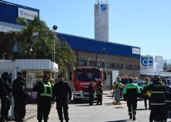 Conmoción en Rosario: lo echaron y estrelló una avioneta en su lugar de trabajo