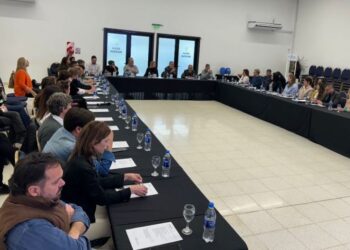 Arrecifes participó en la reunión del Consejo Regional de Salud