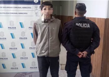 Detuvieron a un joven por dos robos, pero…