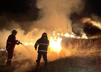 VIDEO. Importante incendio en la autopista 8