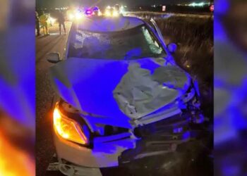 Caballos sueltos provocaron un accidente en la autopista 8