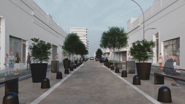 Presentaron el proyecto de embellecimiento de calle Ricardo Gutiérrez