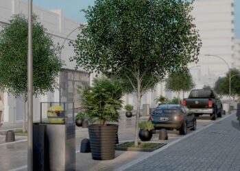 Presentaron el proyecto de embellecimiento de calle Ricardo Gutiérrez