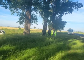 Despiste de un auto en ruta 8