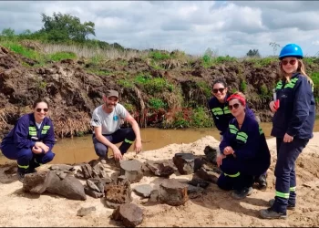 Increíble: encontraron restos de una ballena en Ibicuy