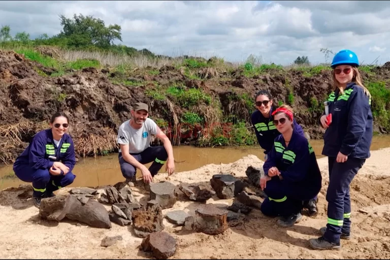 Increíble: encontraron restos de una ballena en Ibicuy