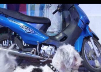 Otra pedido de colaboración por una moto robada