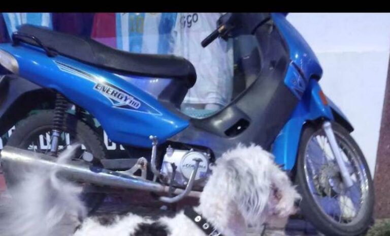 Otra pedido de colaboración por una moto robada