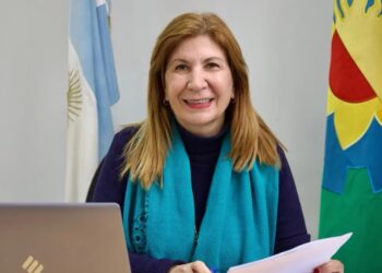 Diputada bonaerense presentó un proyecto para declarar al inodoro “un lugar para la paz”
