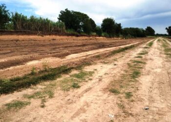 Mejoran camino de La Vuelta del Perro