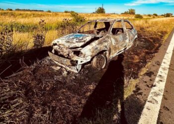 Se incendió un auto en ruta 8