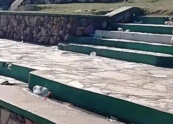 Suciedad en el Balneario de Arrecifes: “¡Qué lástima, no aprendemos más!”