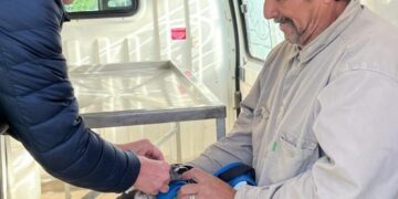 Siguen los jueves de castraciones