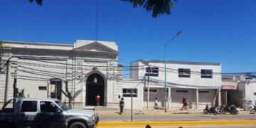 Polémica por la quita de árboles frente al Hospital