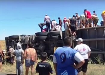 Volcó un camión con vacas y las carnearon en el lugar