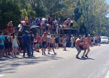 Otro camión de hacienda volcado y vacas carneadas en Arrecifes