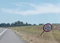 Masivo robo y vandalismo en la autopista 8