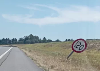 Masivo robo y vandalismo en la autopista 8