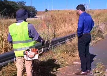 Trabajos de desmalezamiento en ruta 51 y autopista