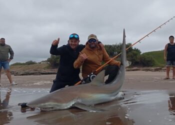 Increíble: pescaron un tiburón en Claromecó
