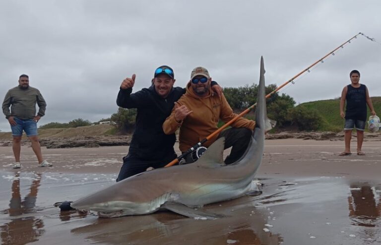 Increíble: pescaron un tiburón en Claromecó