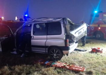 Grave accidente por caballos sueltos