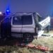 Grave accidente por caballos sueltos