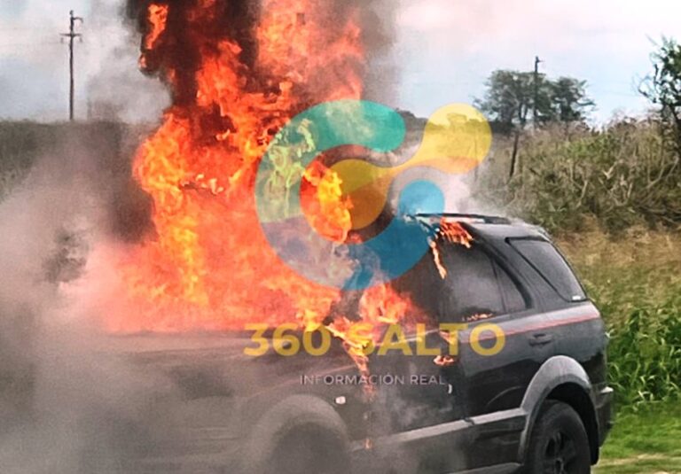 Se incendió una camioneta en ruta 191