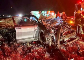 Otro grave accidente por animales sueltos en autopista 8