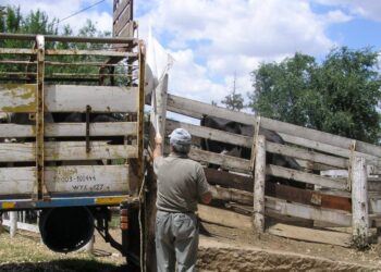 Tragedia en Arrecifes: muere un trabajador rural