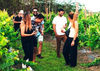 Cata Wine te invita a una experiencia diferente