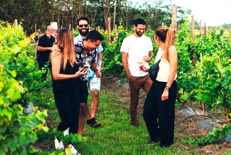 Cata Wine te invita a una experiencia diferente