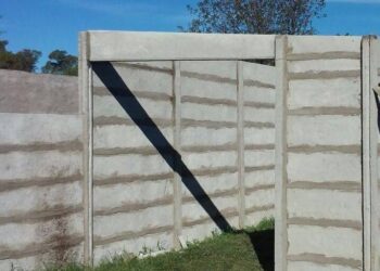 Le trepó por el tapial al ex y la agarraron