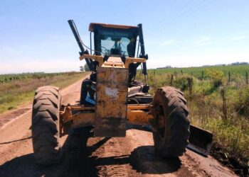 Trabajos en la zona rural