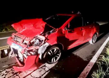 Se salvó de milagro al chocar con animales en ruta 51