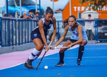 La leoncita arrecifeña