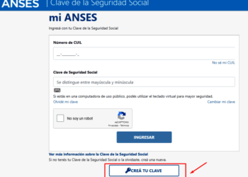Información importante de ANSES