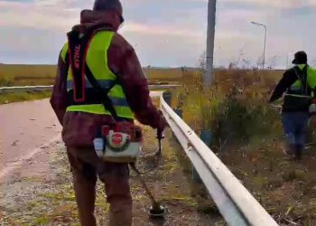 La Municipalidad se hizo cargo del desmalezamiento en ruta 51 y autopista