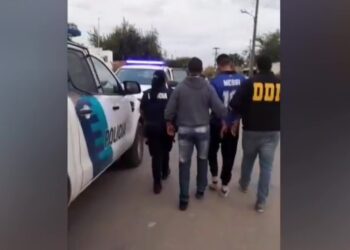 VIDEO. Allanamiento y detención por un hecho de hurto