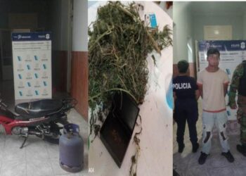 Allanamiento y detenidos por robo, pero liberados