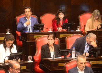 El Senado bonaerense aprobó la suspensión de las PASO en la Provincia