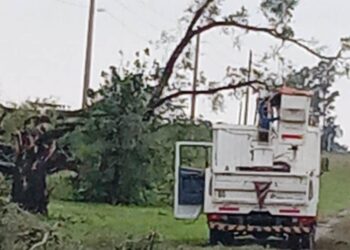 La tormenta dejó consecuencias en Arrecifes