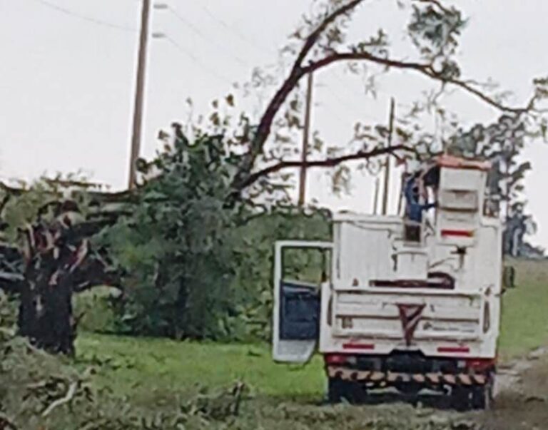 La tormenta dejó consecuencias en Arrecifes