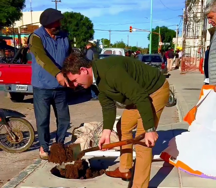 Plantan jacarandás en la nueva vereda del Hospital
