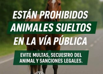 Comunicado del Juzgado de Faltas de Arrecifes