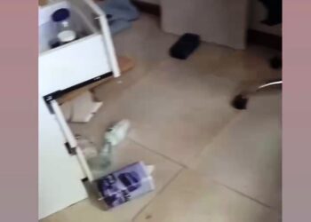 VIDEO. Otro robo de una caja fuerte en Arrecifes