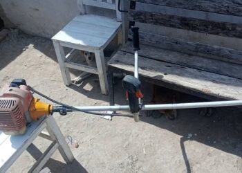 Robo en un galpón