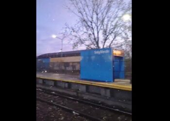 Cayó nieve en el norte del Conurbano bonaerense