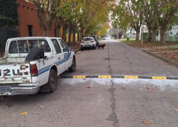 Colocaron reductores de velocidad en Viña y en Todd