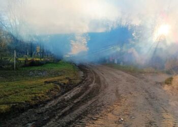 Desinfección y fumigación en zonas afectadas por las inundaciones